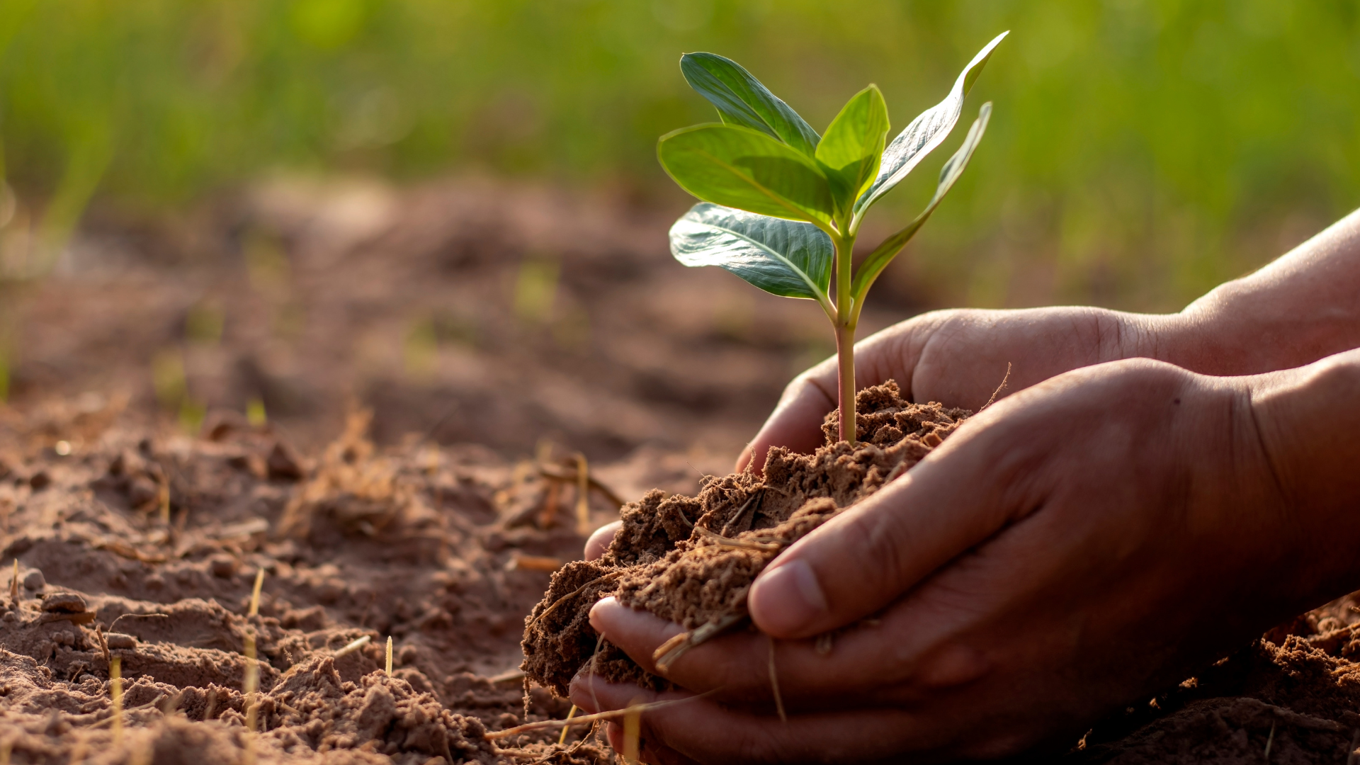 Untitled design (4).png